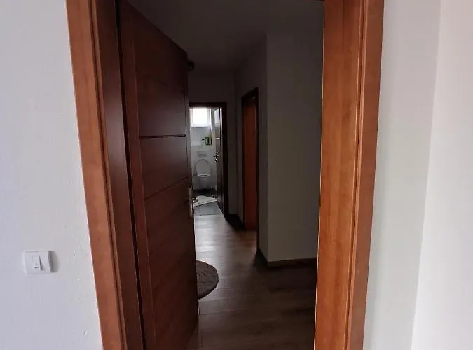 Ika Lux 4* 公寓 谢尼察